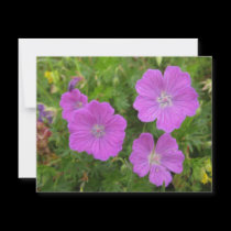 Bloody Cransebill flowers invitations