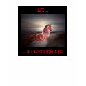 Bloody Night Mare t-shirts by sjfranks Bloody Night Mare t-shirts