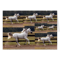 "BloodyShoulder" Arabian Stallion Greeting Cards