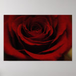bloom 11 X 18 Posters