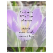 Bloom And Bud - Crocuses Flyers
