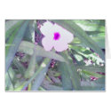 Bloom Boom! cards