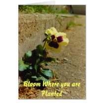 Bloom Card by Rock_shirts48 Bloom Card