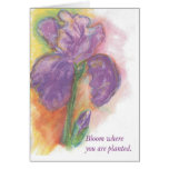 Bloom Card