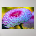 Bloom Flower Posters