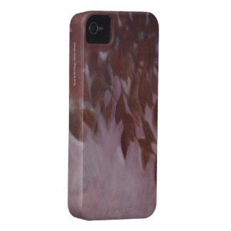 Bloom iPhone 4/4S Case Case-mate Iphone 4 Cases