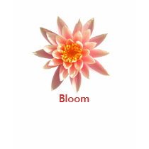 Bloom Lotus Tank t-shirts by sarahlakey Bloom Lotus Tank t-shirts