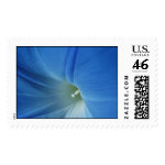 Bloom stamp