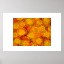 Bloom Print
