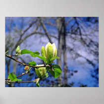 Bloom Print