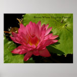 Bloom posters