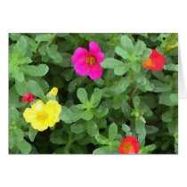 Bloom Vividly cards