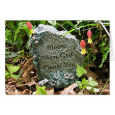 Bloom Where card