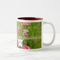 Bloom Where You Are Planted, Pink poppies mugs