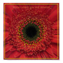 bloom where you are planted posters