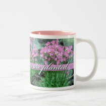 Bloom Where You Are Planted, Shooting Star mugs