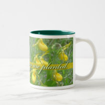 Bloom Where You Are Planted, Yellow Ladyslipper mugs