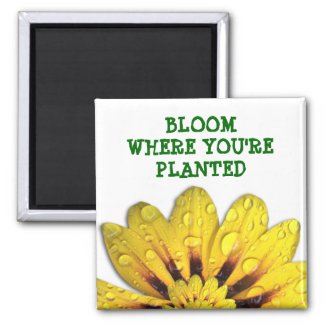 Bloom where you're Planted Magnet