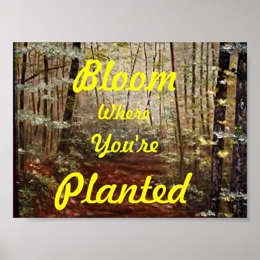"BLOOM WHERE YOU'RE PLANTED" POSTER Zazzle