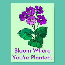 Bloom Where You're Planted Poster posters