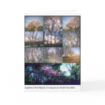 Bloomin' Trees Miss You Card