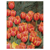 Bloomin' Tulips! flyers