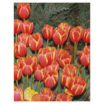 Bloomin' Tulips! flyers