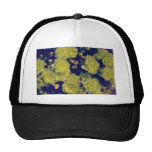 Blooming Beavertail Cactus flowers Hat