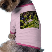 Blooming Bsail pet clothing