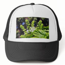 Blooming Bsail hats by lifesphere Blooming Bsail hats