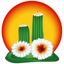 Blooming Cactus photo sculptures