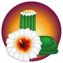 Blooming Cactus photo sculptures