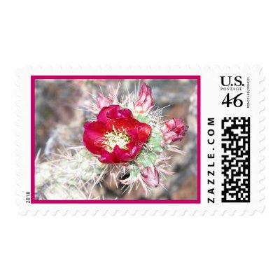 Blooming Cactus Postage Stamp by dmbike