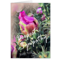 Blooming Cactus-sympathy card