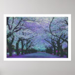 Blooming Cherry Blossoms Tokyo, Japan posters