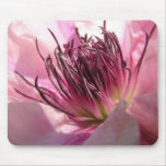 Blooming Clematis Mouse Pad