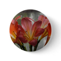 Blooming Clivia buttons