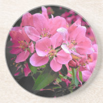 Blooming Crabapple coasters
