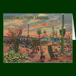 BLOOMING DESERT NOTE CARDS cards