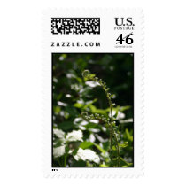 Blooming Fern postage