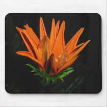 Blooming Flower mousepads by APeach Blooming Flower mousepads