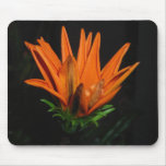 Blooming Flower Mouse Mats