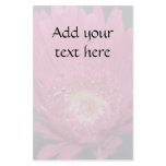 Blooming Gerbera Flyer