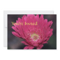 Blooming Gerbera Invitation