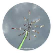Blooming Grass Sticker