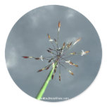 Blooming Grass stickers