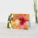 Blooming Hibiscus Greeting Card card