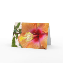 Blooming Hibiscus Greeting Card
