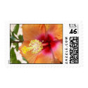 Blooming Hibiscus Postage stamp