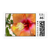 Blooming Hibiscus Postage stamps